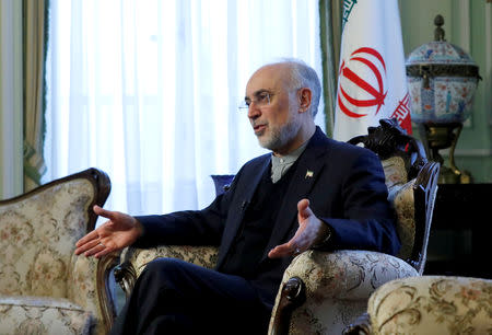 FILE PHOTO: Iran's nuclear chief Ali Akbar Salehi gestures as he speaks to Reuters during an interview in Brussels, Belgium November 27, 2018. REUTERS/Yves Herman/File Photo