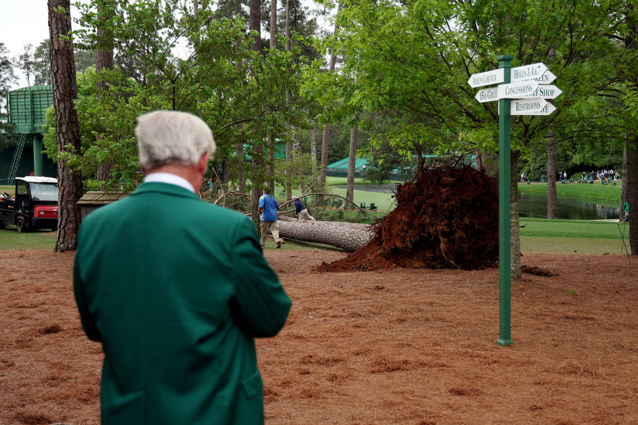 An Augusta National Golf Club member looks over a fallen tree on the 17th hole during the second round of the 2023 Masters Tournament at Augusta National Golf Club on April 07, 2023 in Augusta, Georgia. (Photo by Patrick Smith/Getty Images)