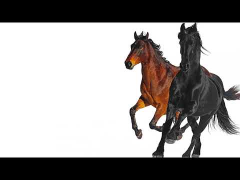 Lil Nas X ft. Billy Ray Cyrus - "Old Town Road"