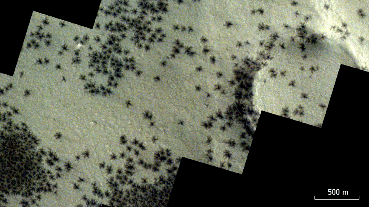  A satellite photo shows lots of small, black spider-like features on Mars. 