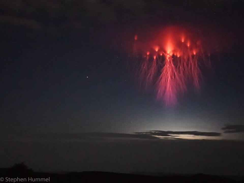 Jellyfish Sprite hummel