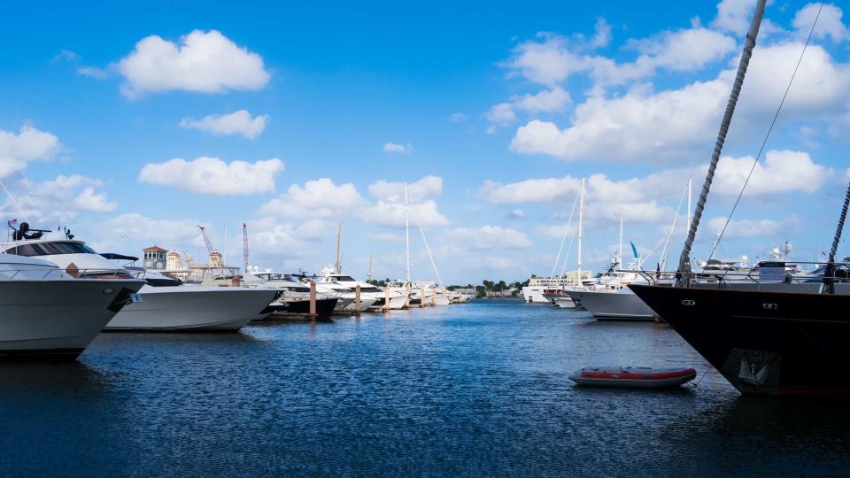 Yachts and sailboats docked at palm harbor marina on a sunny day.