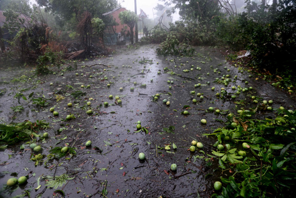 ALIBAUG, INDIA - JUNE 3: Impact after Nisarga Cyclone hit on June 3, 2020 in Alibaug, India. Alibaug witnessed wind speeds of up to 120 kilometres per hour. Although the cyclone made the landfall just 95 kilometres from Mumbai, the Maharashtra capital largely escaped its wrath. (Photo by Satish Bate/Hindustan Times via Getty Images)