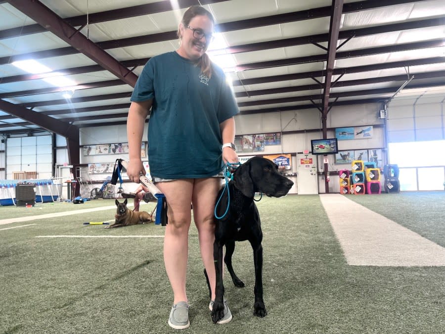 Kelsie Boswell and her six-year-old German Shorthaired Pointer Axel at the Las Cruces Dock Diving & K9 Event Center in Las Cruces.