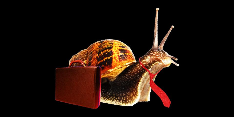 Snail with a tie and briefcase