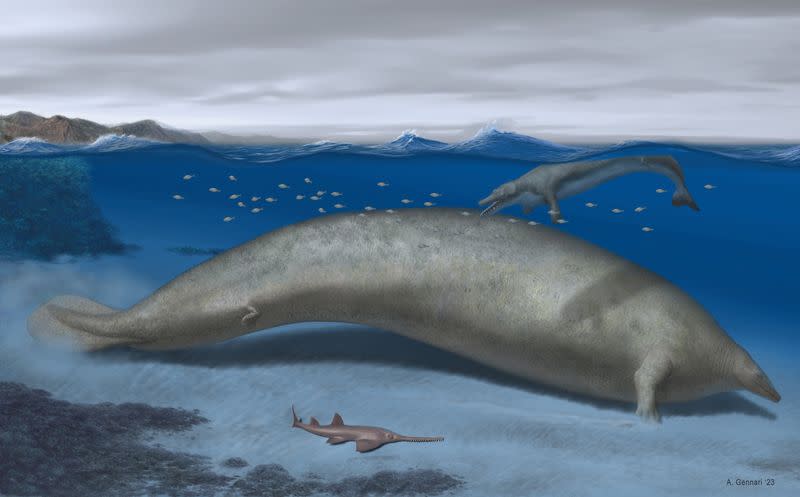 Ilustración de un Perucetus colossus, una ballena que vivió en Peru hace unos 38 a 40 millones de años