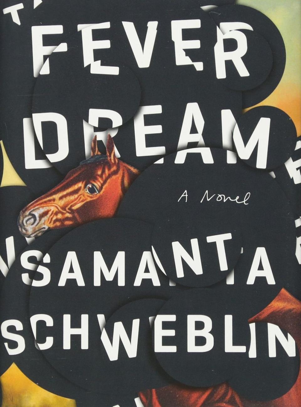 'Fever Dream' by Samanta Schweblin