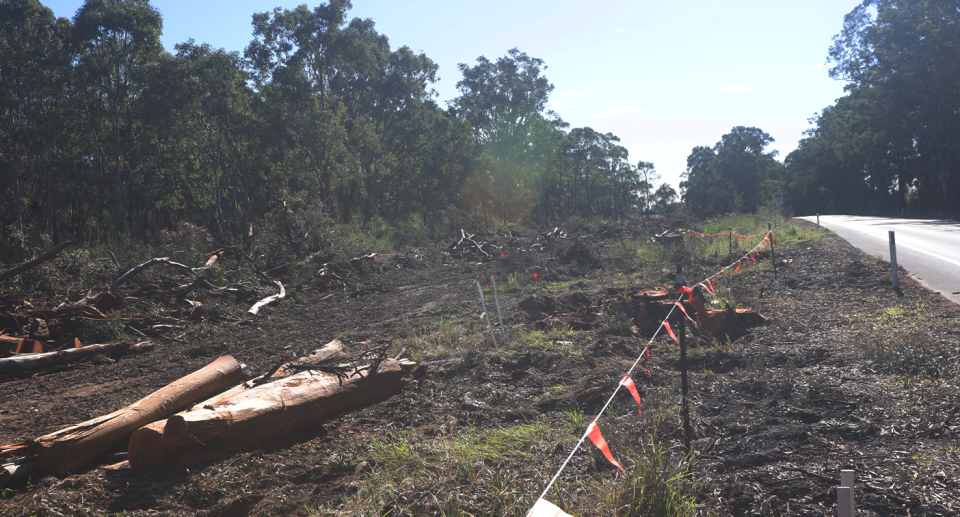 Trees removed along the edge of Appin Road in south-west Sydney.