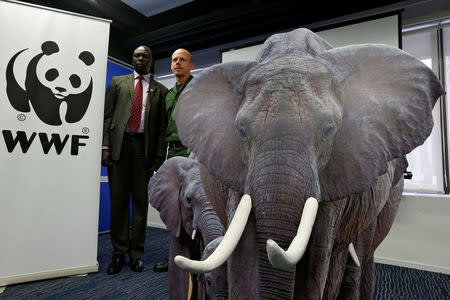 Former Zambian Wildlife Authority's wildlife crime investigator Josias Mungabwa (L) and Garamba National Park manager Erik Mararv pose beside a cutout during a news conference in Hong Kong, China June 6, 2017. REUTERS/Bobby Yip