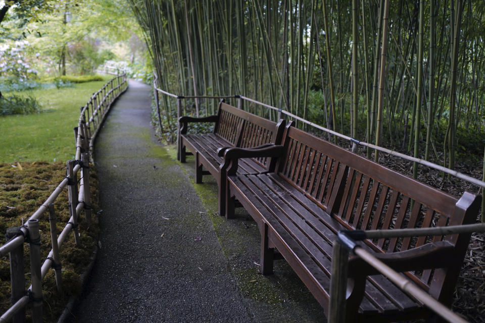 Empty benches along bamboos of the Japanese-inspired water garden of Claude Monet's house, French impressionist painter who lived from 1883 to 1926, wait ahead of the re-opening, in Giverny, west of Paris, Monday May 17, 2021. Lucky visitors who'll be allowed back into Claude Monet's house and gardens for the first time in over six months from Wednesday will be treated to a riot of color, with tulips, peonies, forget-me-nots and an array of other flowers all competing for attention. (AP Photo/Francois Mori)