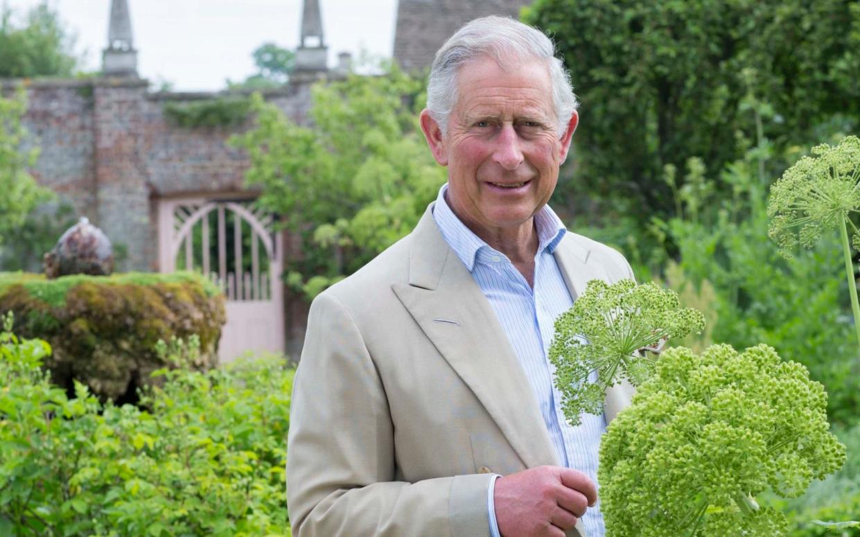 Prince Charles in the garden at Highgrove - PA