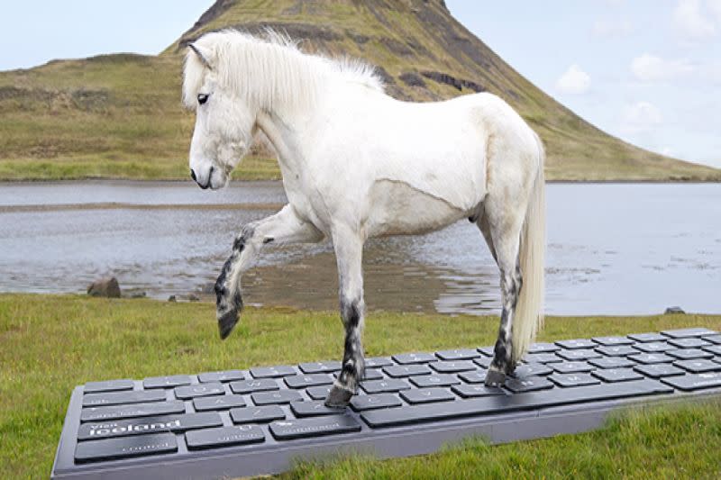 ▲冰島觀光局推出讓馬兒替遊客回工作信件的特殊服務。（圖／FB帳號inspiredbyiceland）