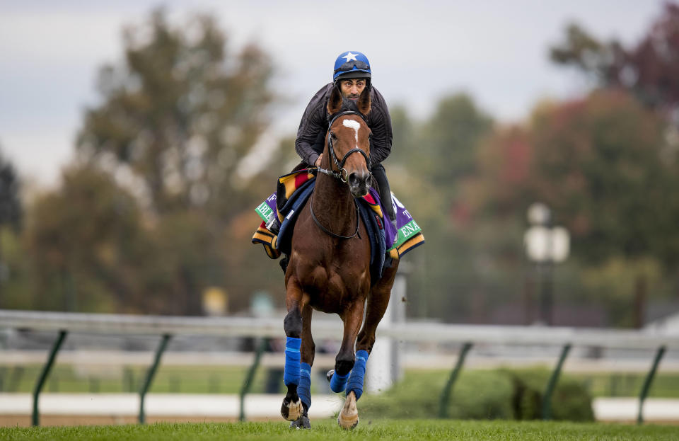 Enable warms up for the Breeders’ Cup Turf at Churchill Downs