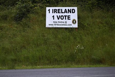 A sign is seen on a roadside saying 1 Ireland 1 Vote, in Armagh, Northern Ireland June 28, 2016. REUTERS/Clodagh Kilcoyne