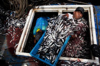 <p>Marvin Vega unloads a crate of anchovies from the holding area of a “boliche,” the Peruvian term for boats that are used by fishermen who fish with nets, at the port of El Callao, Peruon on Dec. 7, 2012. (Photo: Rodrigo Abd/AP) </p>