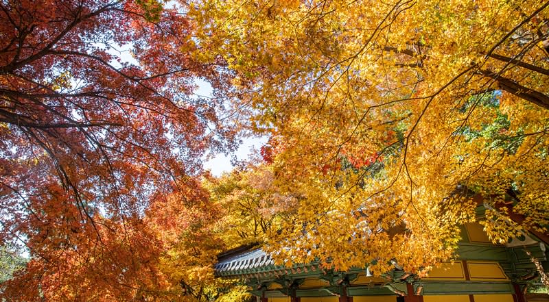 浮石寺