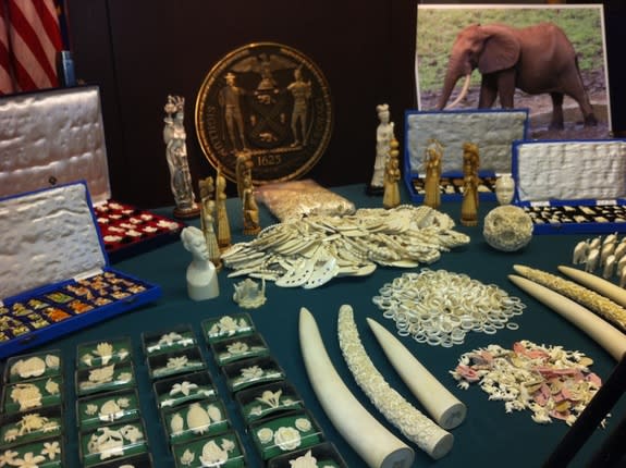In 2012, the New York State Department of Environmental Conservation, in conjunction with the U.S. Fish and Wildlife Service, seized more than $2 million worth of elephant ivory in New York City.