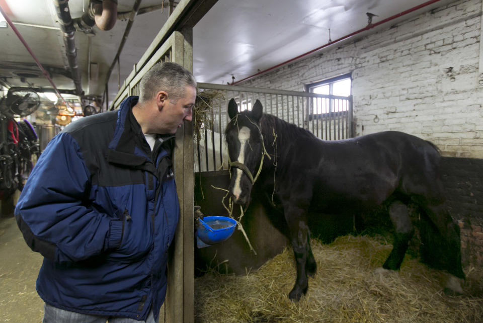 In this Jan. 28, 2014 photo, carriage horse owner Stephen Malone looks in on his horse Tucker in his stall at New York's Clinton Stables. Time may be running out for the iconic horse carriages that carry tourists around New York City’s Central Park. New York City Mayor Bill de Blasio has already declared his intention to shut down the industry, saying it is inhumane to keep horses in modern-day Manhattan. (AP Photo/Richard Drew)
