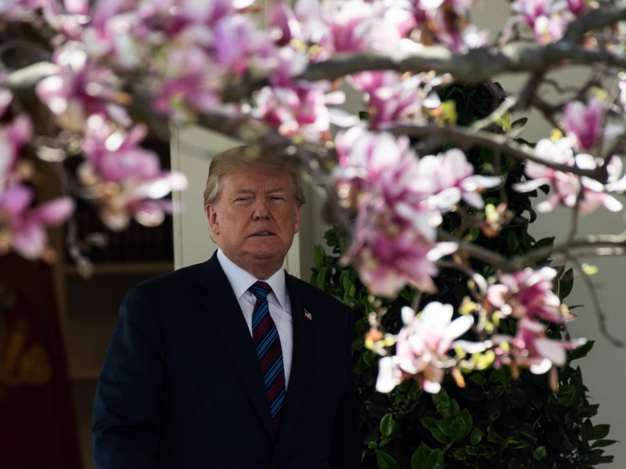 President's less than honest tax returns were published in a 10,000-word report by the New York Times on Sunday (AFP via Getty Images)
