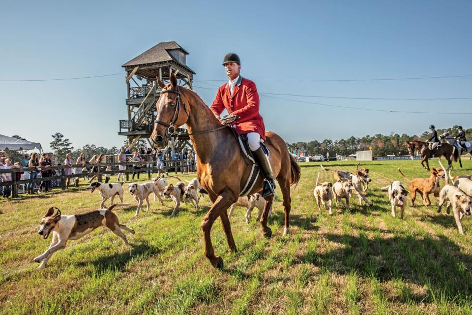 Callaway Gardens Steeplechase Midland Foxhounds