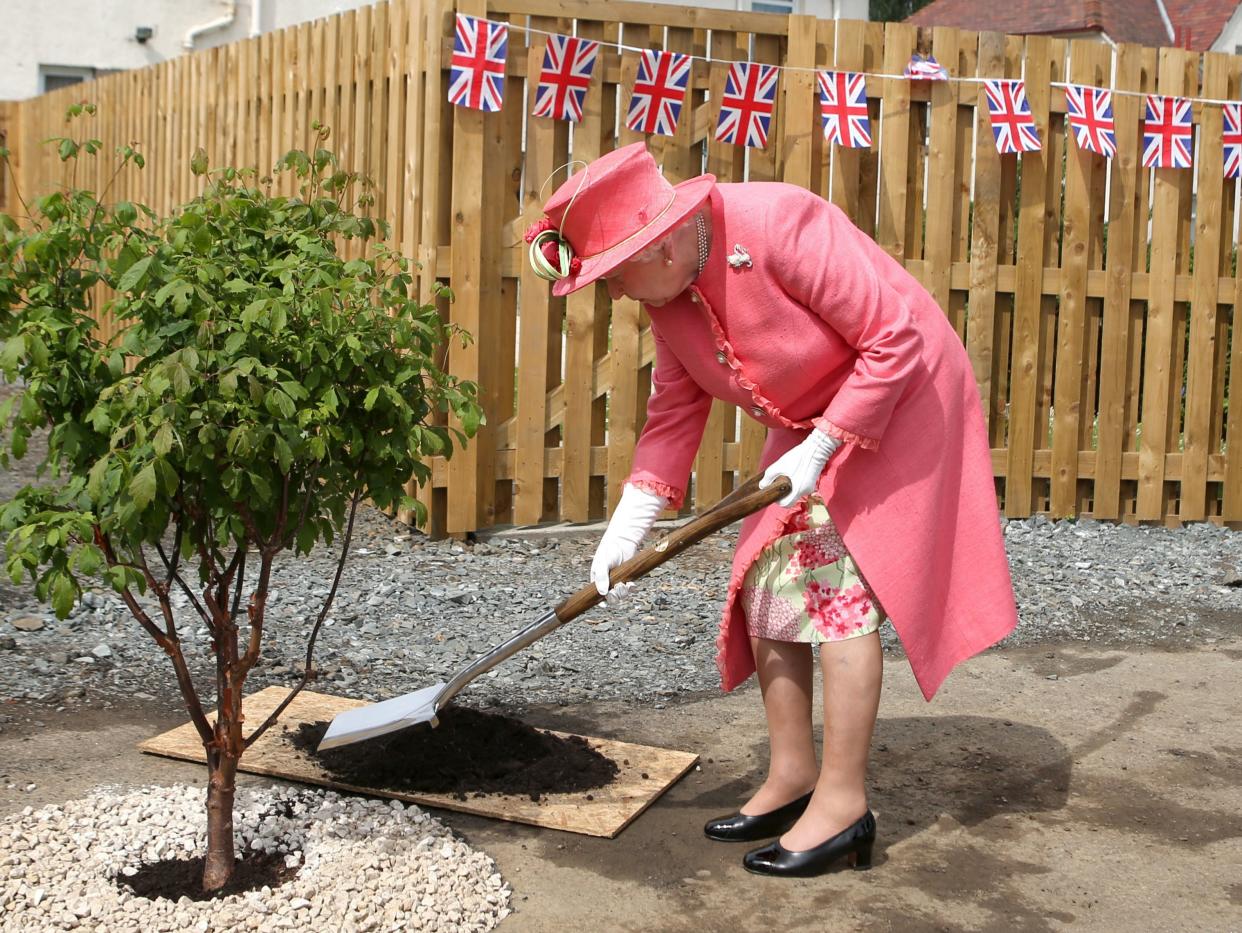 <p>The Queen planting a tree in Edinburgh on 29 November 2020</p> (PA)