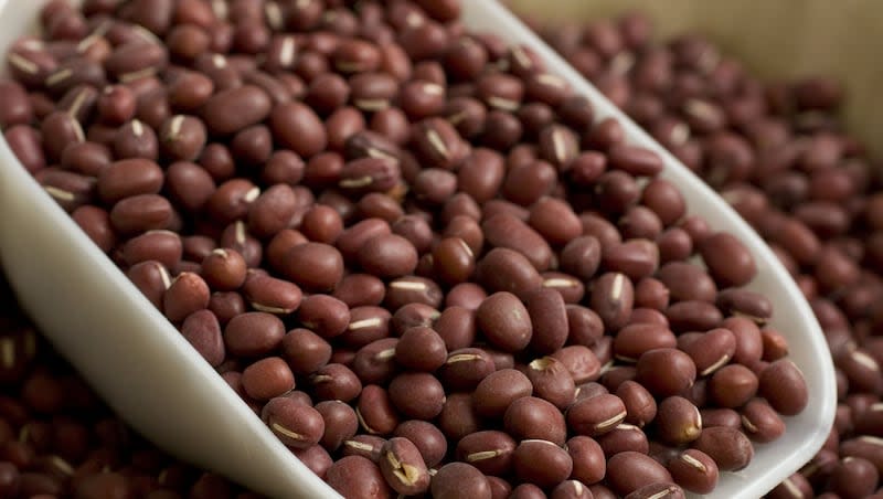 Adzuki beans are seen in this Sept. 15, 2010 photo. Making a leap into the mainstream of cooking, adzuki beans don't have to be soaked for use like most legumes and are an excellent source of protein.