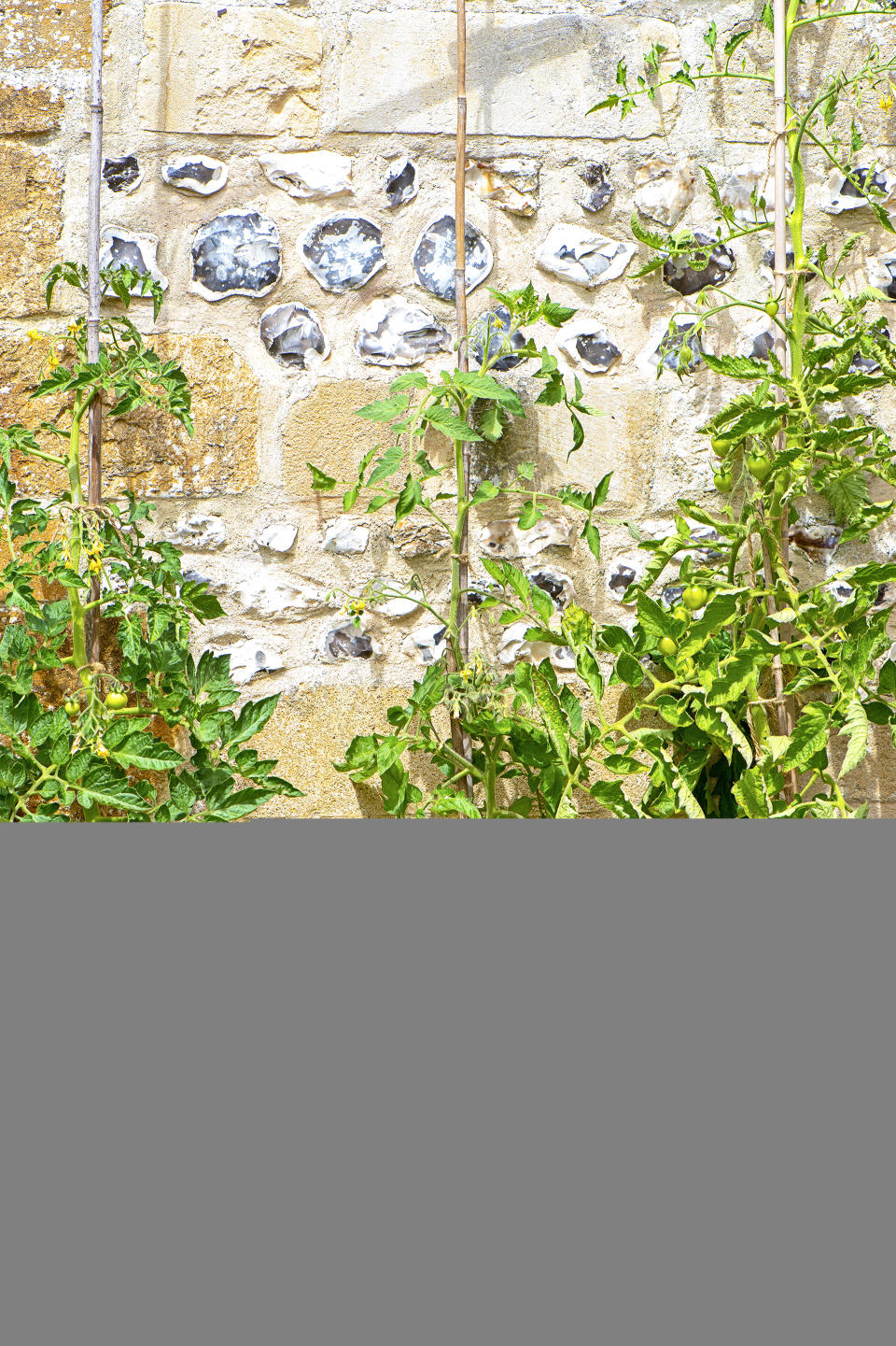 Use containers for a vegetable garden in even the smallest spaces