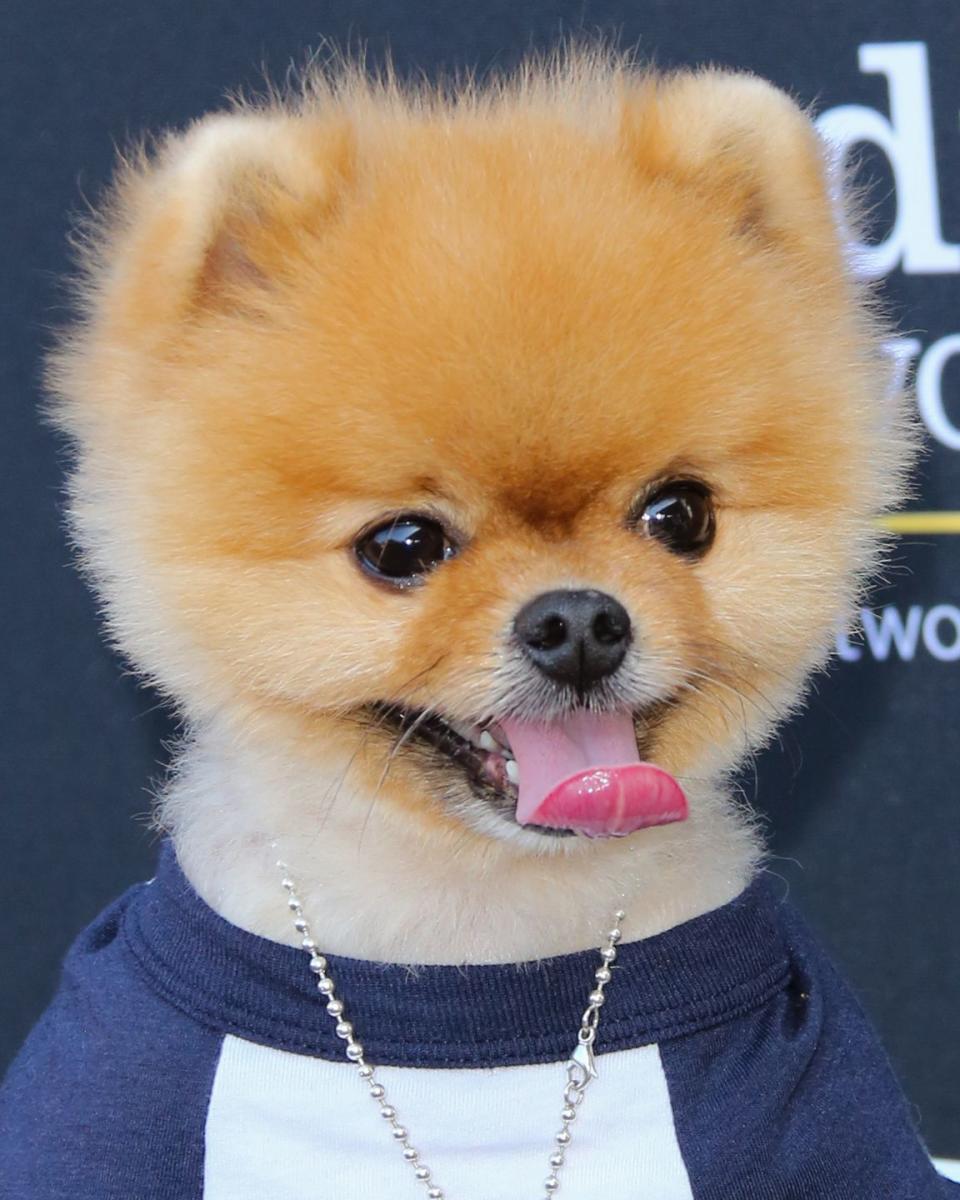 Jiffpom