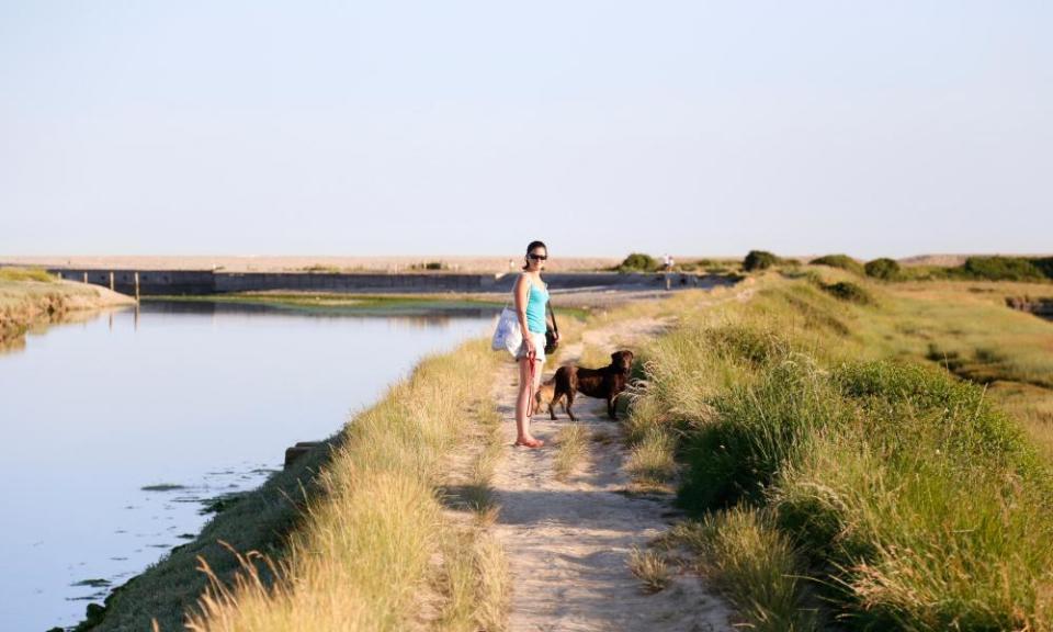 Young woman walking dogs along path at Cuckmere Haven