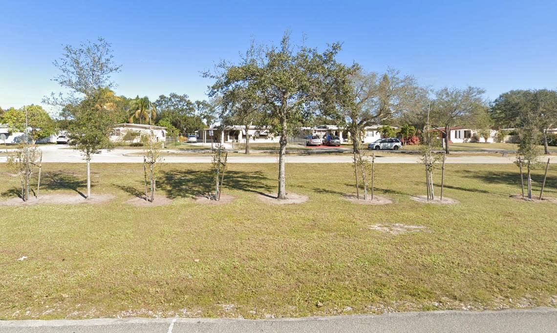 A Google Street View image from 2021 shows saplings planted closely together between more established trees along the Miami-Dade County’s northern border. Reporters who visited the site in 2023 found the trees had not experienced noticeable growth. Google Street View