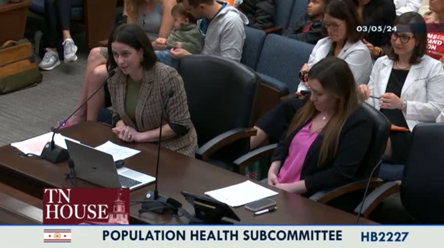 <em>Kelli Nowers, left, testifies before the Tennessee House of Representatives Population Health Subcommittee March 5, 2024. (Source: TN House of Representatives)</em>