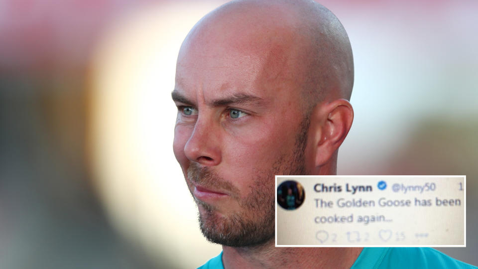 Chris Lynn is pictured, with his 'golden goose' tweet inset.