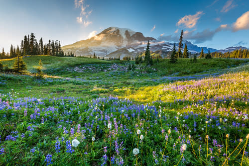 ▲雷尼爾山國家公園壯麗山色(圖/ shutterstock)