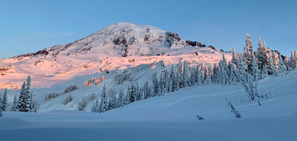 Mount Rainier in 2020. (Evan Bush / NBC News)