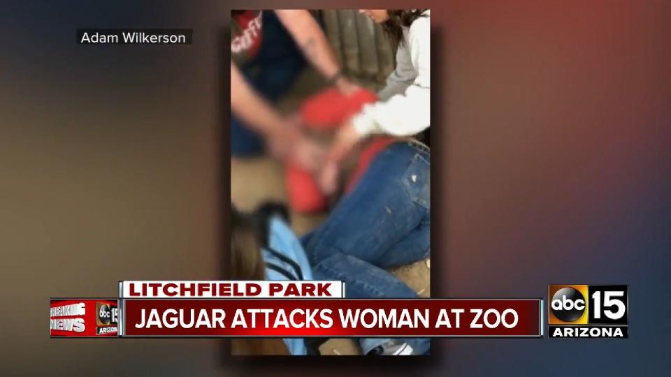 Graphic video taken by another park guest captured the woman screaming in pain after sustaining a deep wound to her arm. (Photo: ABC 15)