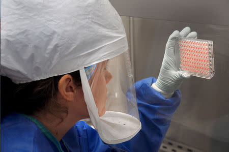 FILE PHOTO: A Centers for Disease Control (CDC) scientist measures the amount of H7N9 avian flu virus which was grown and harvested in an unnamed CDC laboratory in 2013. James Gathany/CDC/Handout via REUTERS