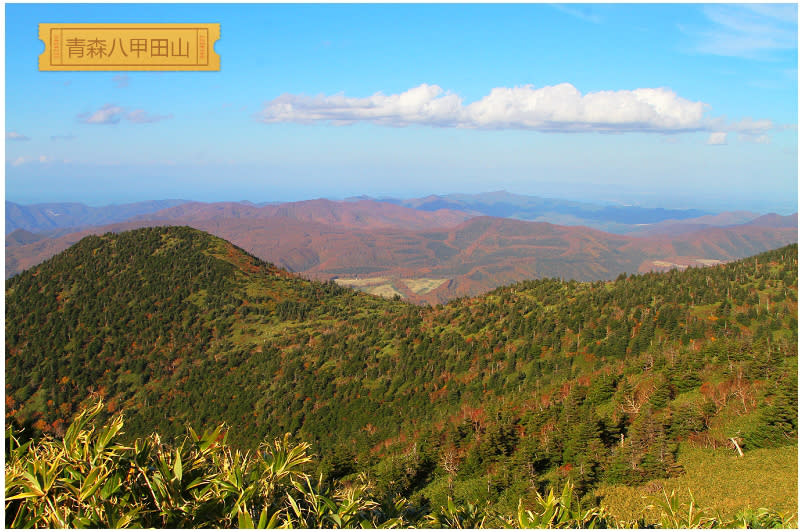 八甲田山紅葉絕景