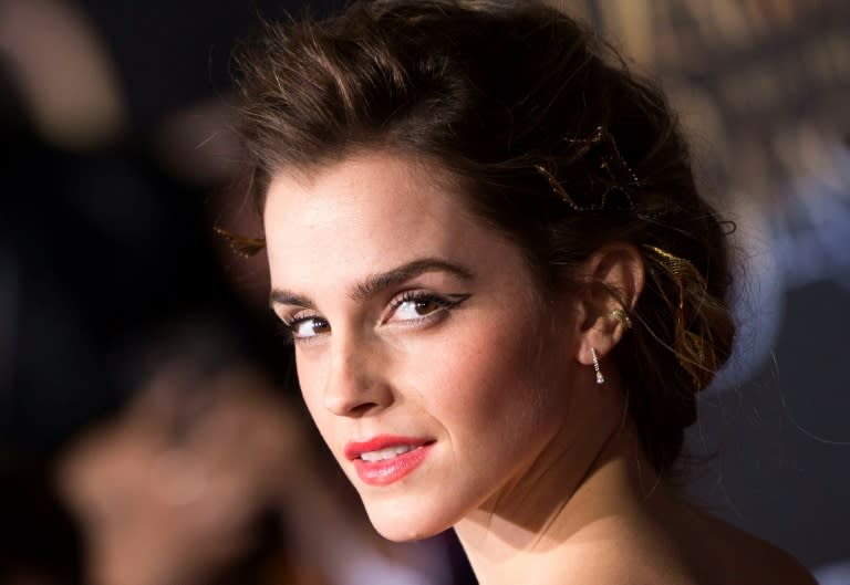 The Harry Potter saga follows the exploits of a young wizard and his friends Ron Weasley and Hermione Granger (played in films by British actress Emma Watson, pictured)