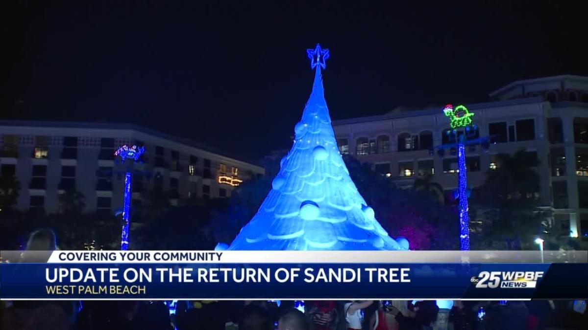Sandi Tree returns to West Palm Beach
