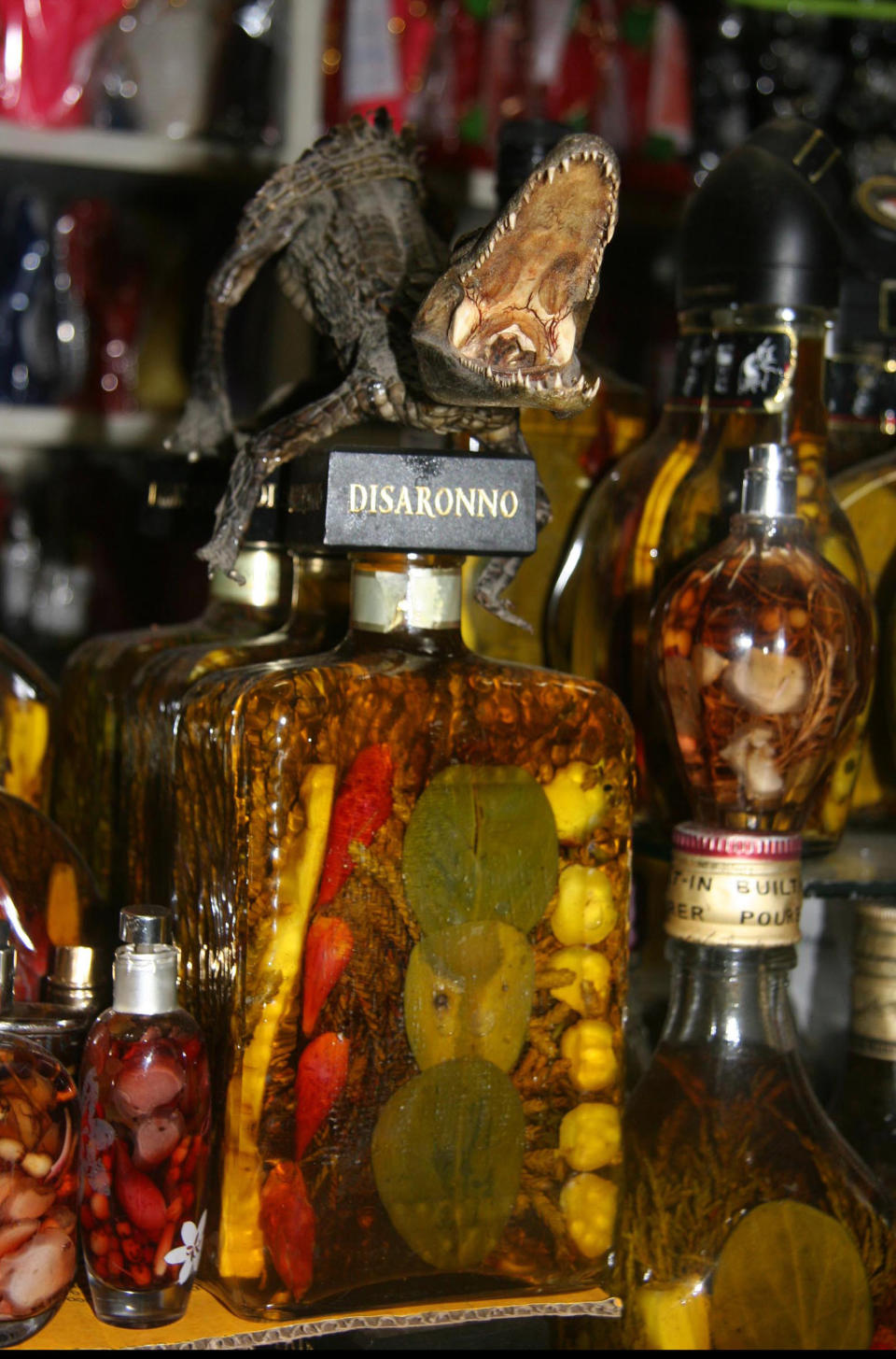 In this June 7, 2013 photo, a dried reptile sits on a bottle of natural perfume at Maria Rios' stand at the witches market in Lima, Peru. Rios, originally from Iquitos in the Amazon jungle, has been making these herbal perfumes based on an ancient recipe, for 25 years. Her perfumes are alleged to attract money, find true love or ensure health. (AP Photo/Jody Kurash)