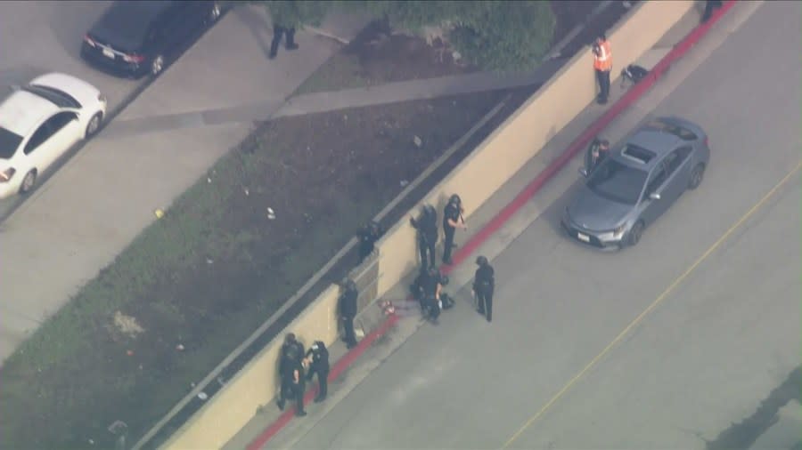 Several protesters taken into custody after blocking lanes near LAX 