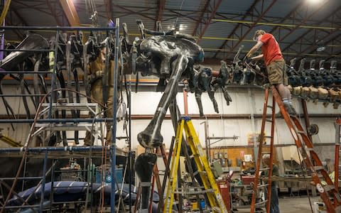 Dippy has been mounted on a new plinth and restored so that he can be taken apart easily and put back together at various venues 