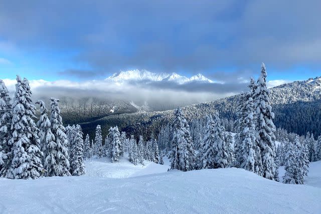 <p>Courtesy of Mt. Baker Ski Area</p>