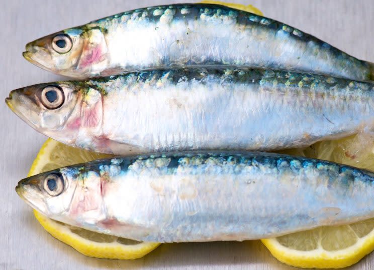 sardines