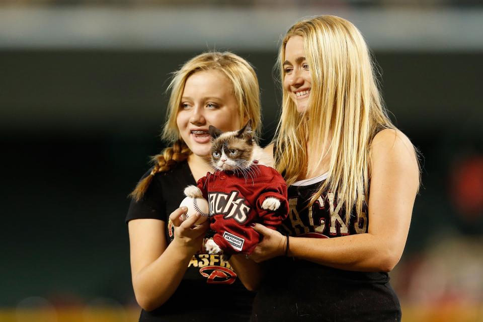 An Arizona native, Grumpy Cat never forgot her roots. In September 2015, she became one of the first cats to throw out the first pitch at a Major League Baseball game, lobbing a ball out at a Arizona Diamondbacks game.