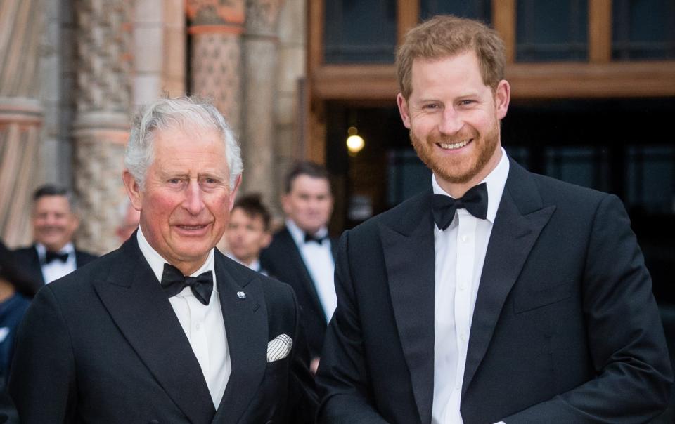 King Charles and Prince Harry - Samir Hussein/WireImage