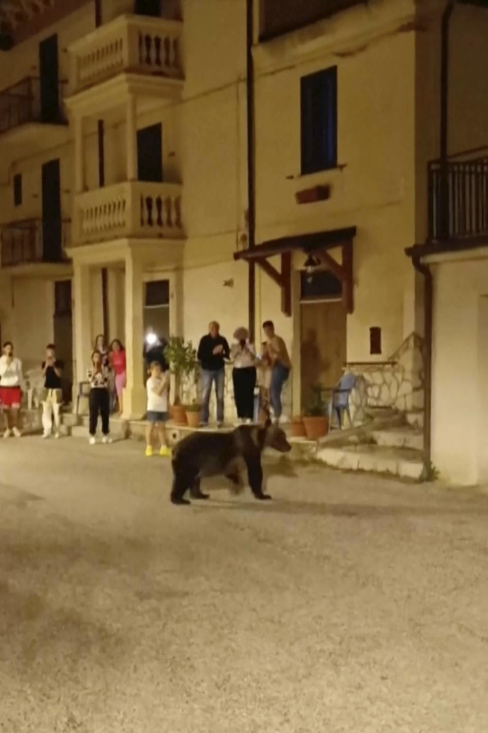 A frame grab from a footage showing a she-bear strolling in San Sebastiano Dei Marsi, Italy, Saturday, Aug. 26 ,2023. The Italian iconic mamma bear "Amarena" was killed by rifle shots on Thursday night near San Sebastiano dei Marsi, in the Abruzzo region. The she-bear was famous for peacefully strolling around local villages with her cubs and was considered a pillar for the conservation of the Apennine brown bear in central Italy. (Via APTN)