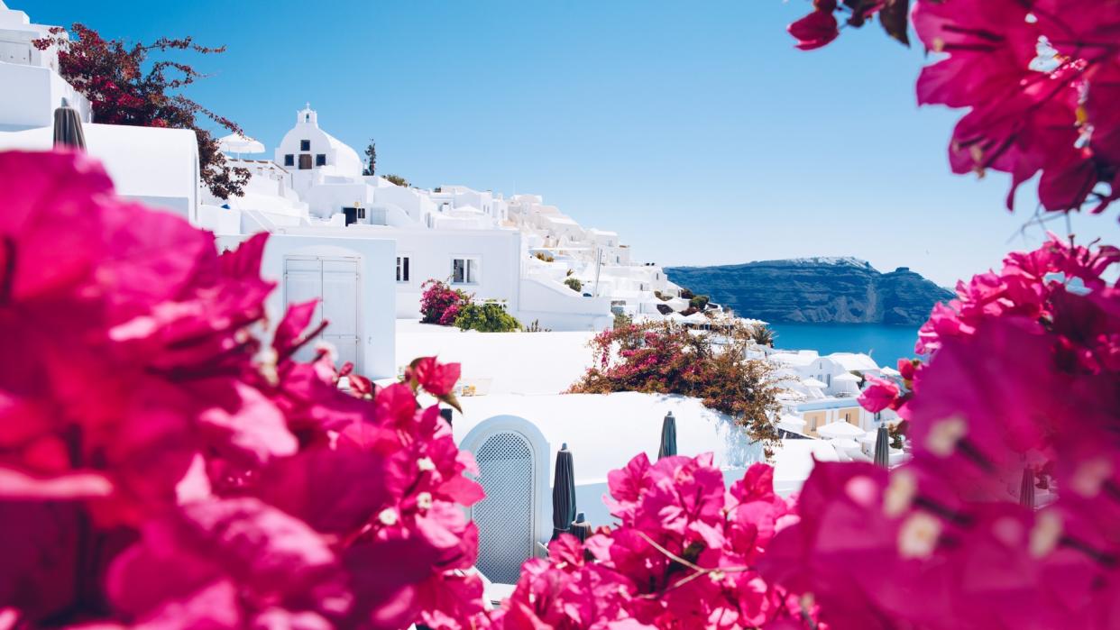 Summer Greece Santorini scenic view landscape punk flower border.