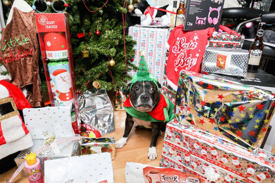 Cleo will be opening 21 different presents this Christmas Day (Picture: Caters)