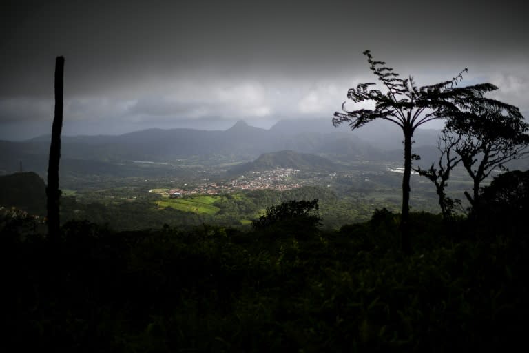 La montagne Pelée et les pitons du nord de la Martinique ont été inscrits au patrimoine mondial de l'Unesco (Christophe ARCHAMBAULT)